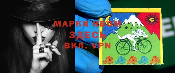 индика Кодинск