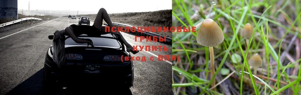 хмурый Козловка