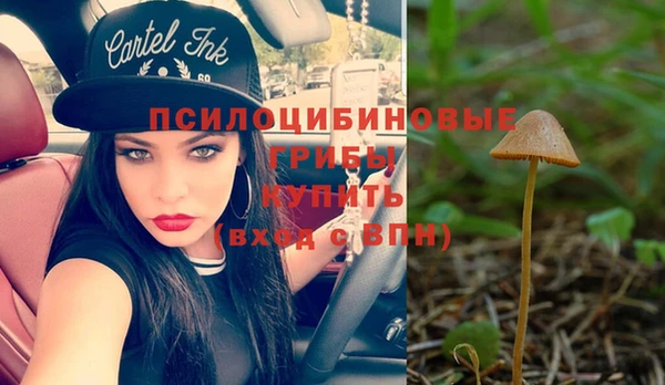 индика Кодинск
