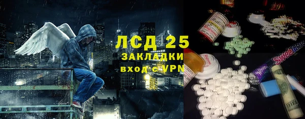 хмурый Козловка