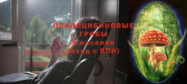индика Кодинск
