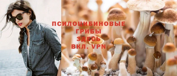 индика Кодинск