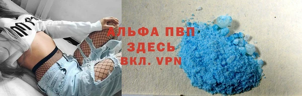 индика Кодинск