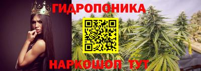дмт Жуковский