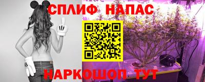 дмт Заводоуковск