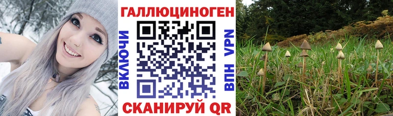 Псилоцибиновые грибы мицелий  mega ссылки  Можайск 