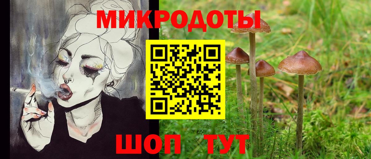 Галлюциногенные грибы Psilocybe Можайск