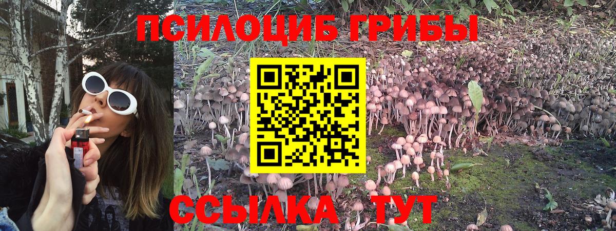Галлюциногенные грибы Magic Shrooms  купить закладку  Вход с VPN  Можайск  Псилоцибиновые грибы GOLDEN TEACHER 